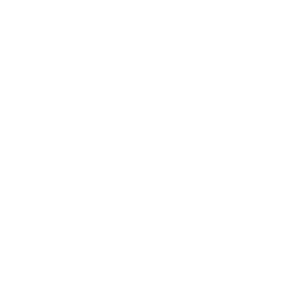 Lakeview Wealth Management